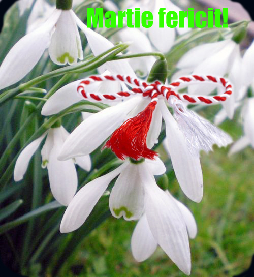 martisor 3.jpg